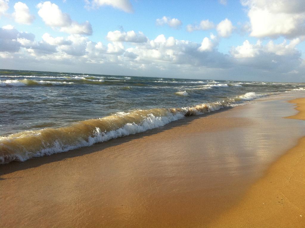 Award Winning Beach Front Retreat Франкстън Екстериор снимка